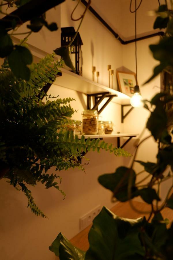 Singer Apartment Old Town Krakow Exterior photo